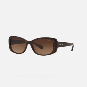 Coach Dark Tortoise Sunglasses
